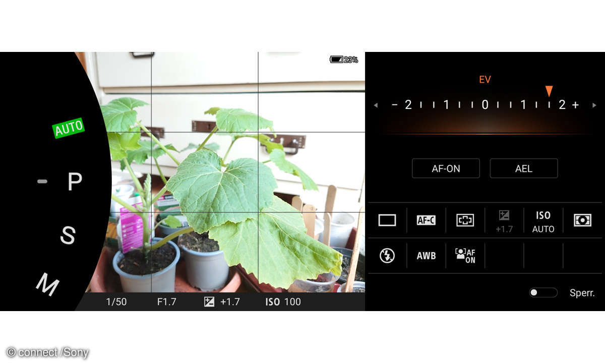 Sony Xperia 1 II mit Photo Pro App