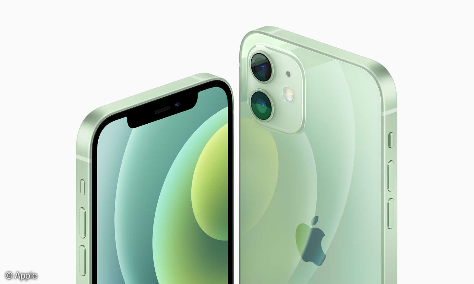 iPhone 12 Größe: Vergleich mit Mini, Pro und Pro Max - connect