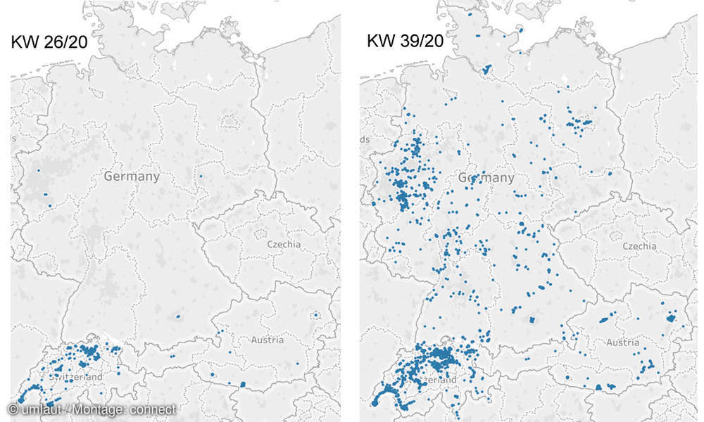 5G-Abdeckung im internationalen Vergleich - connect
