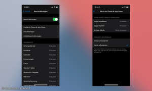 In-App-Käufe auf iPhone und iPad deaktivieren - connect