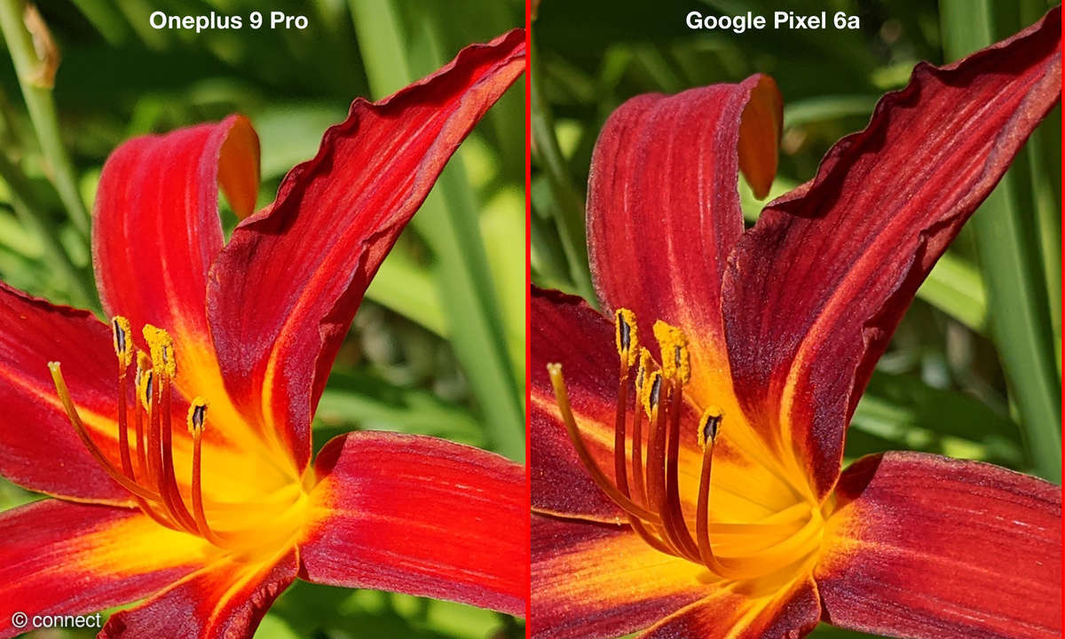 Bildvergleich pixel 6a vs Oneplus 9 Pro