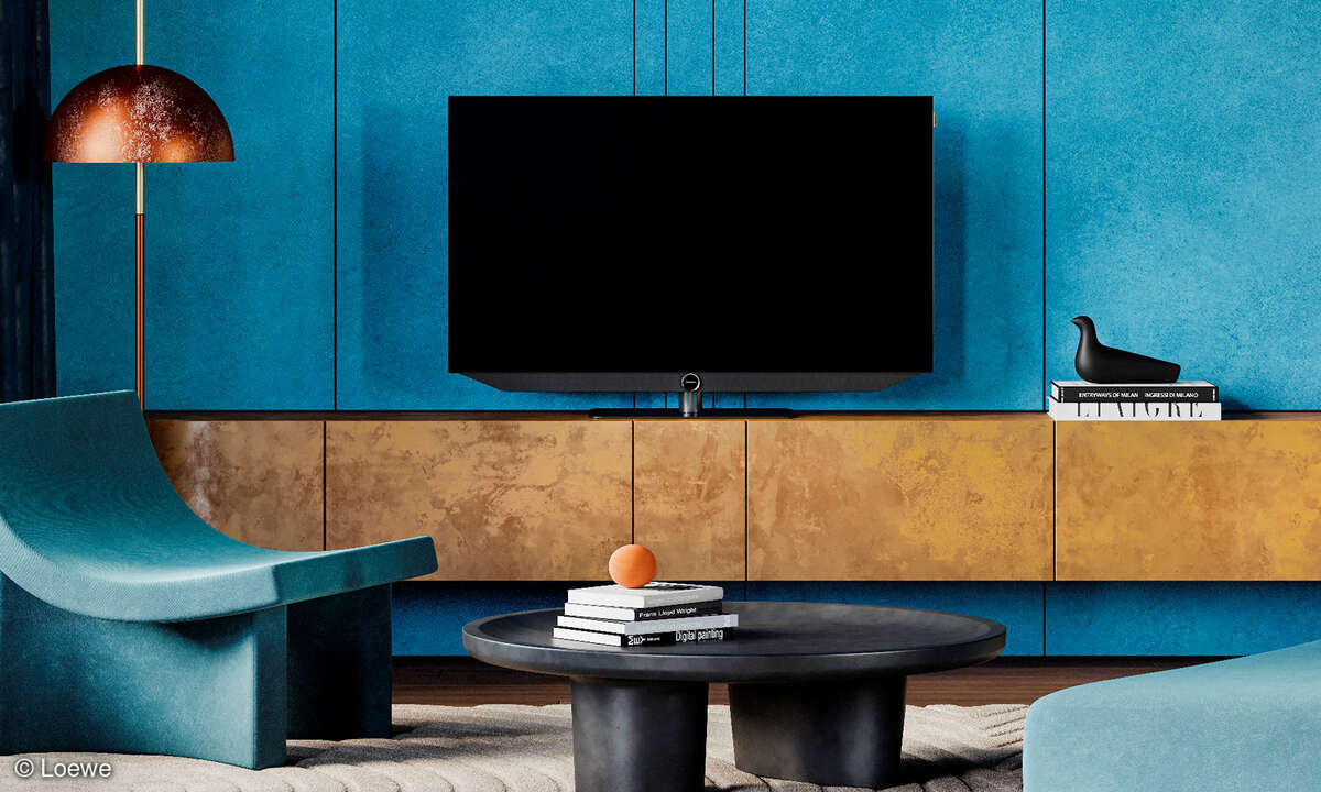 Loewe bild v.48