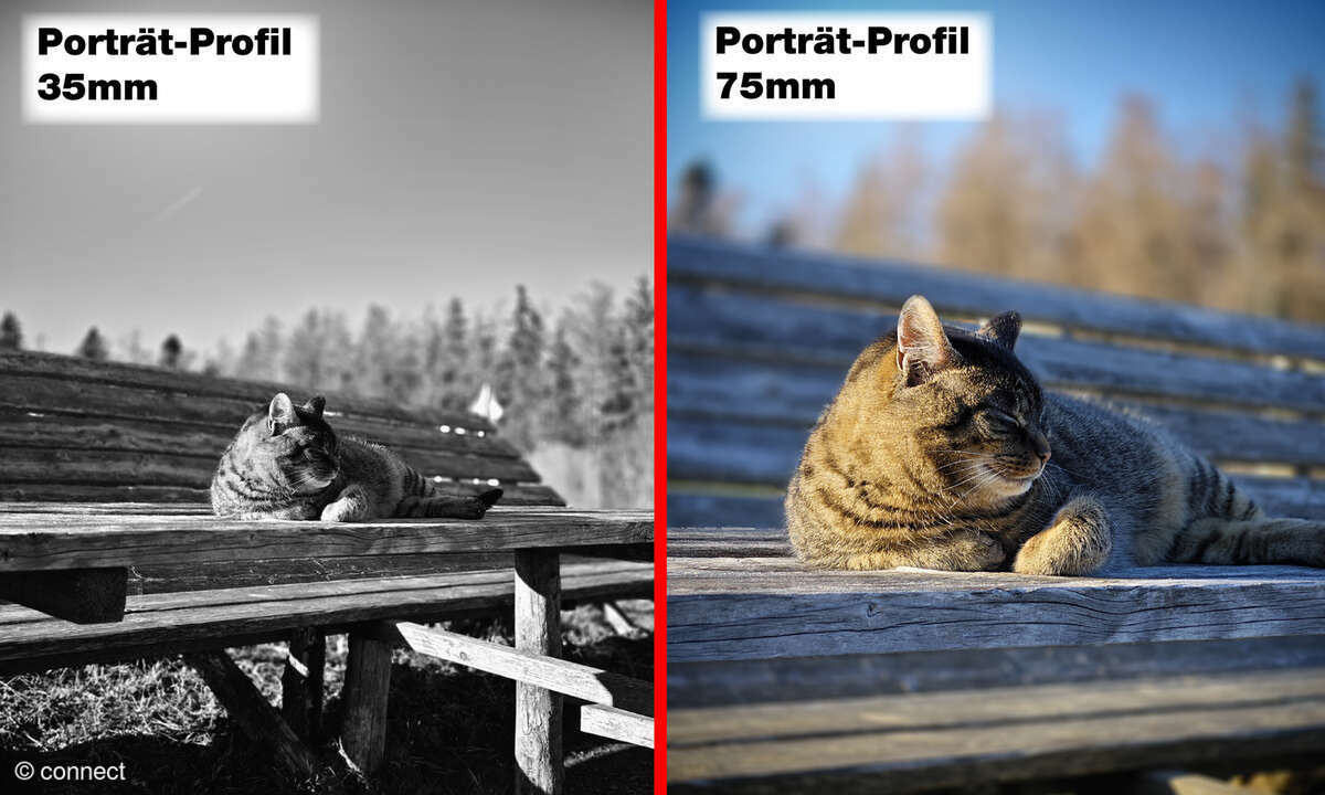 Xiaomi 13 (Pro) Leica-Porträt-Profile