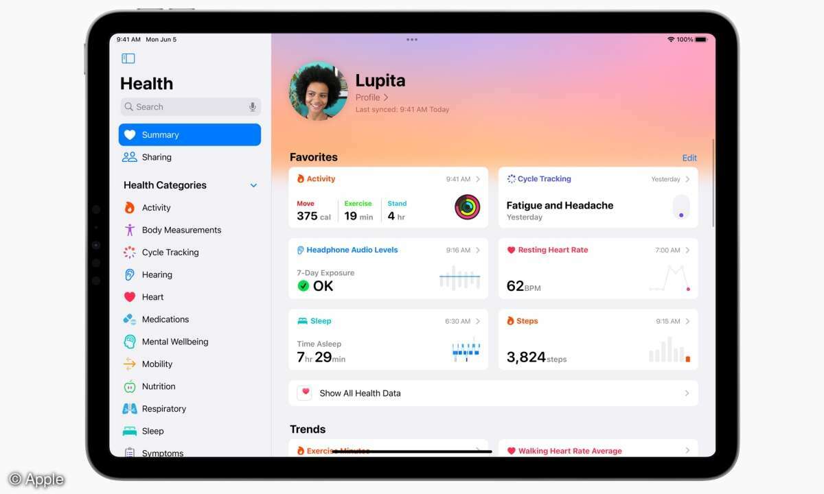 iPadOS 17 Health-App