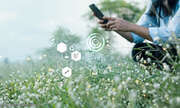App-Tipps zur Pflanzenbestimmung
