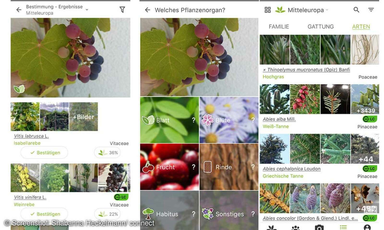 PflanzenApps im Vergleich oder connect