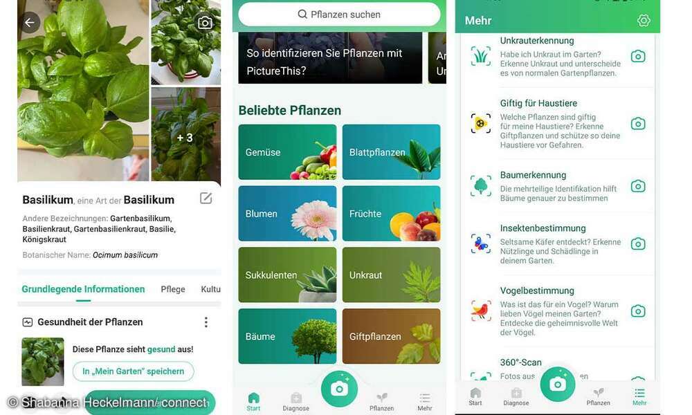 PflanzenApps im Vergleich PictureThis connect