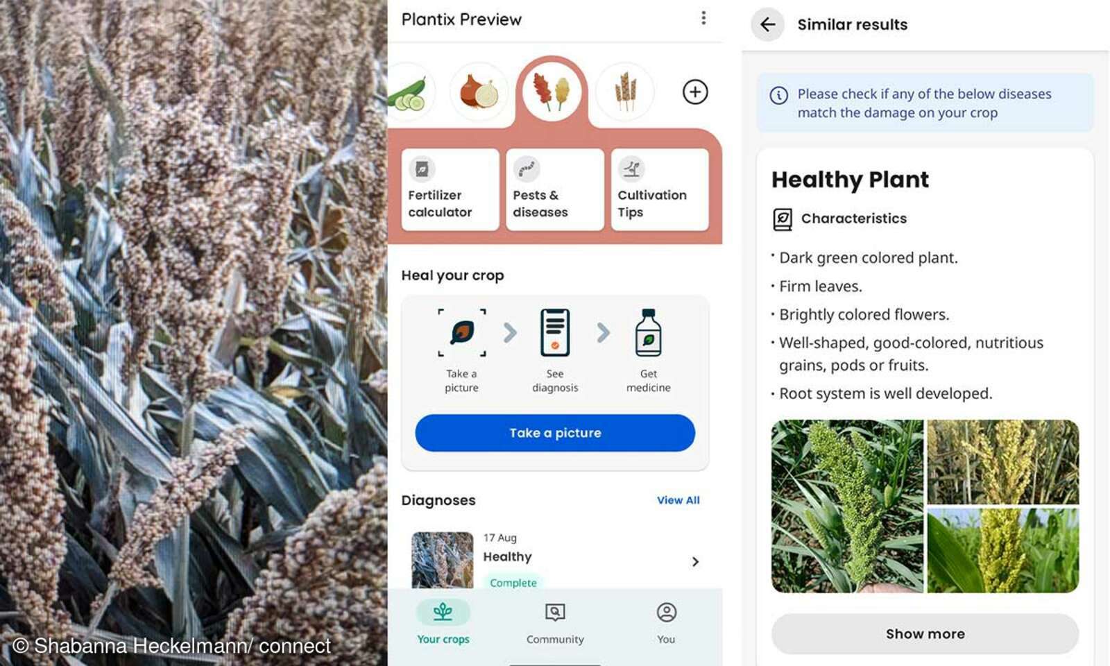 PflanzenApps im Vergleich Plantix connect