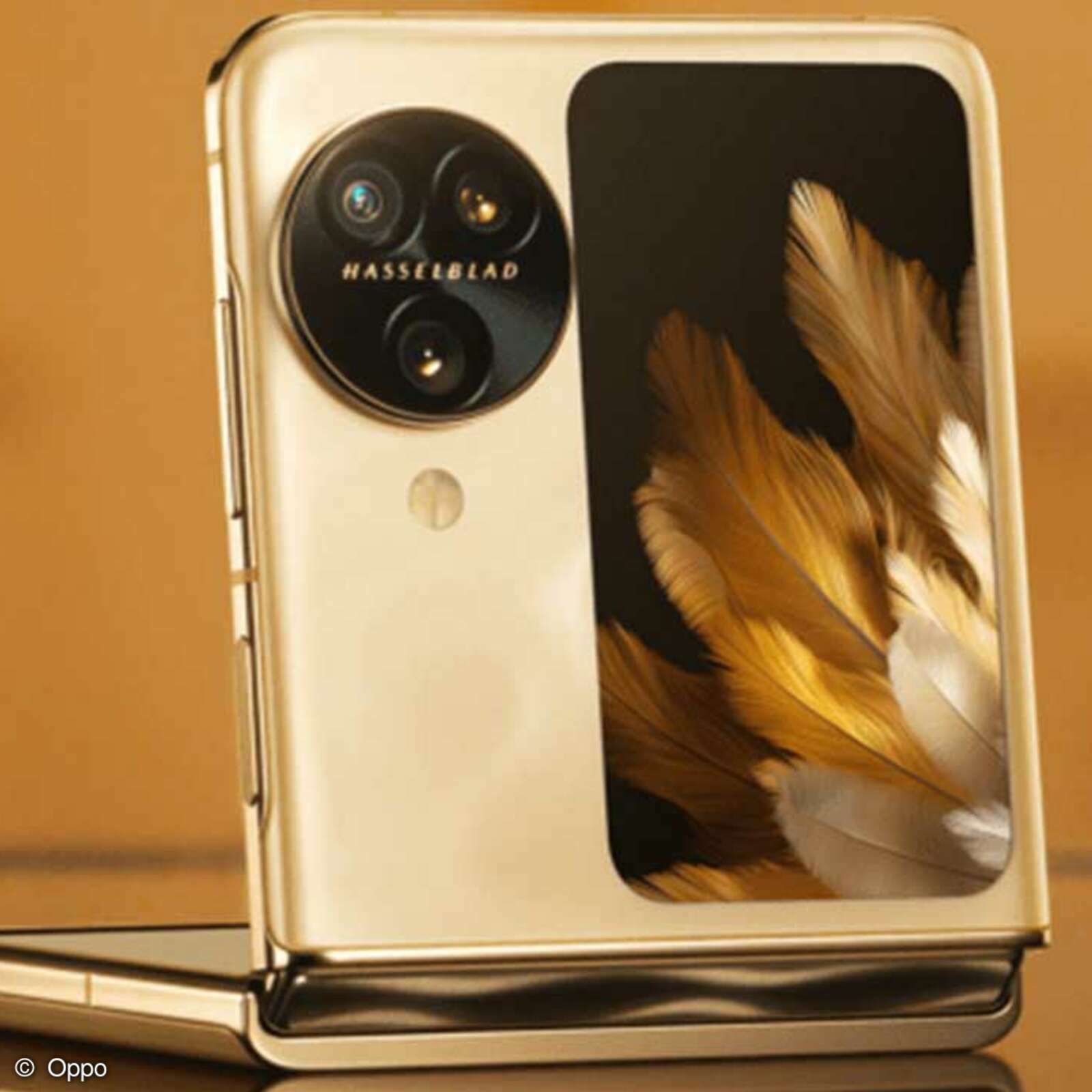 Oppo Find N: Unboxing und erster Test - connect