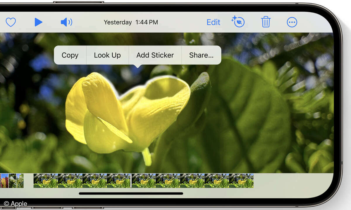 iOS 17: Visuelles Nachschlagen