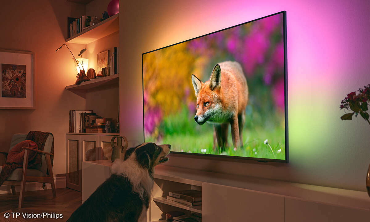 Philips Smart-TV 65PUS8808 The One im Test