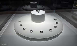 Wellness-Ring