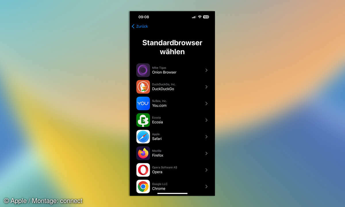 iOS 17.4 Standard-Browser