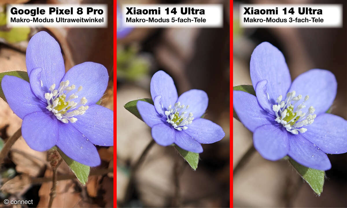 Xiaomi-14-Ultra-Makro-Modus-Bildvergleich