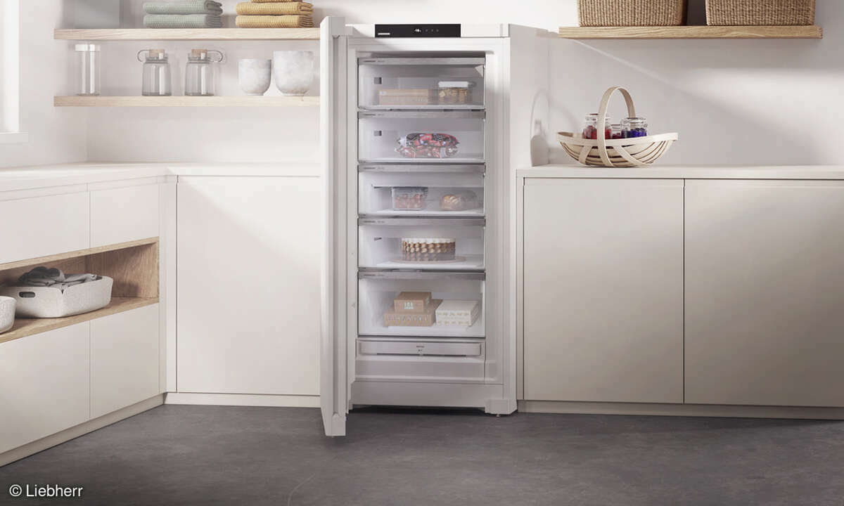 Liebherr Gefrierschrank FNa 6625 Energieeffizienzklasse A