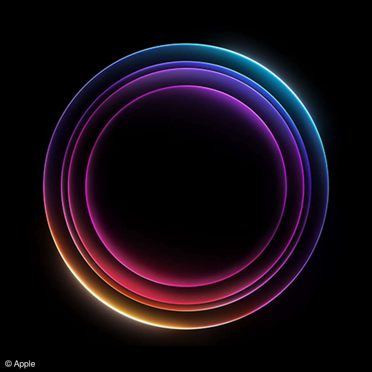 element untersuchen safari ipad Apple Park Icon