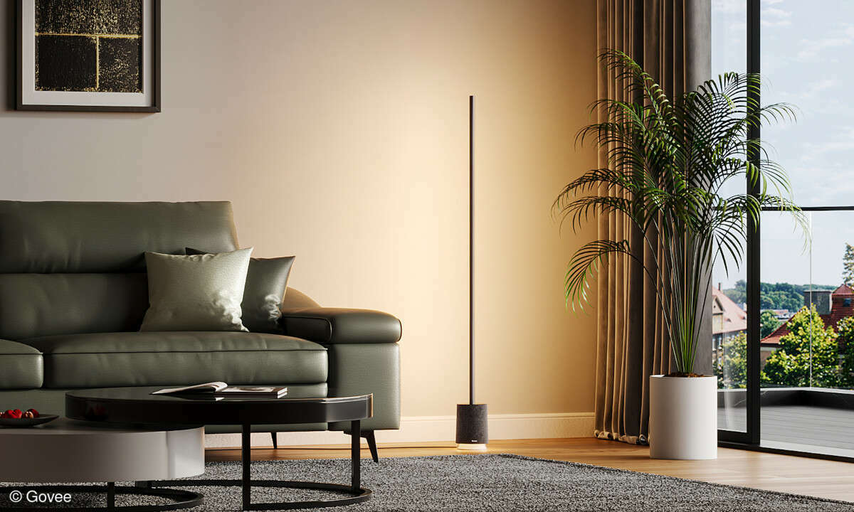 Govee Floor Lamp Pro