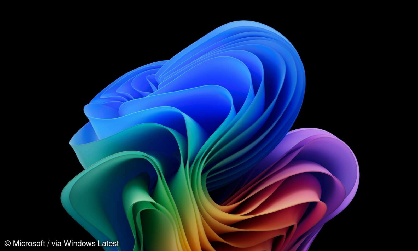 Windows 11 update 24h2 neue hintergrundbilder zum download connect