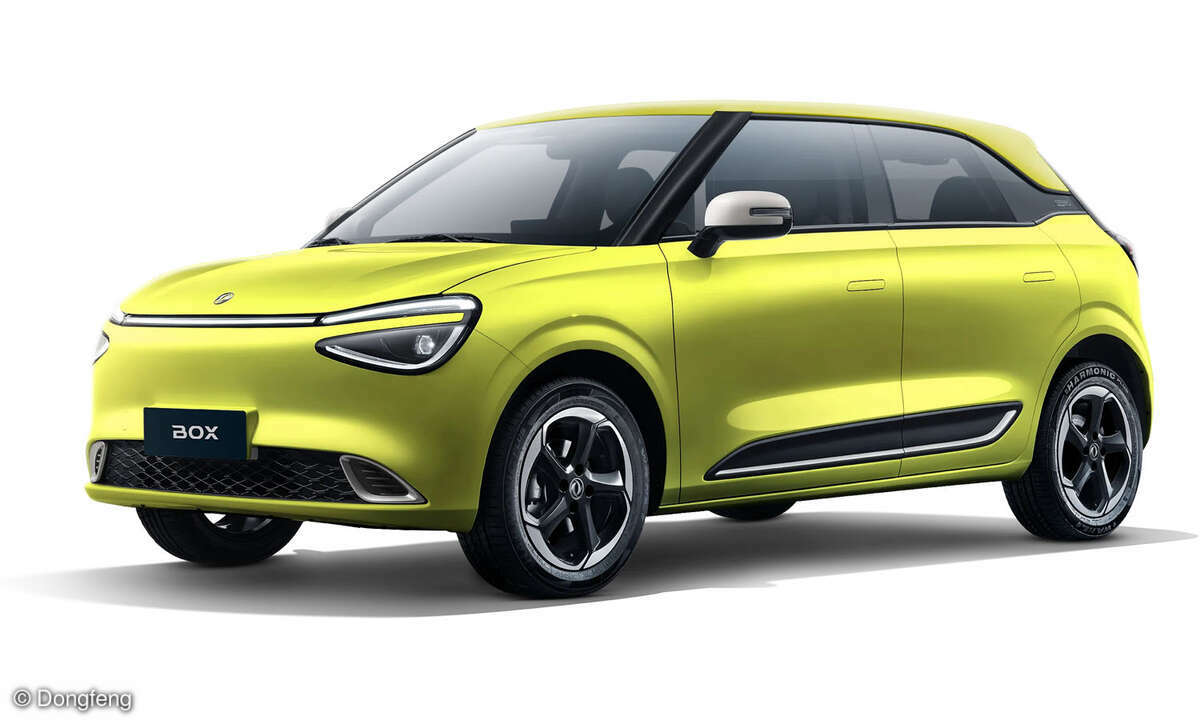 Dongfeng Nammi Box