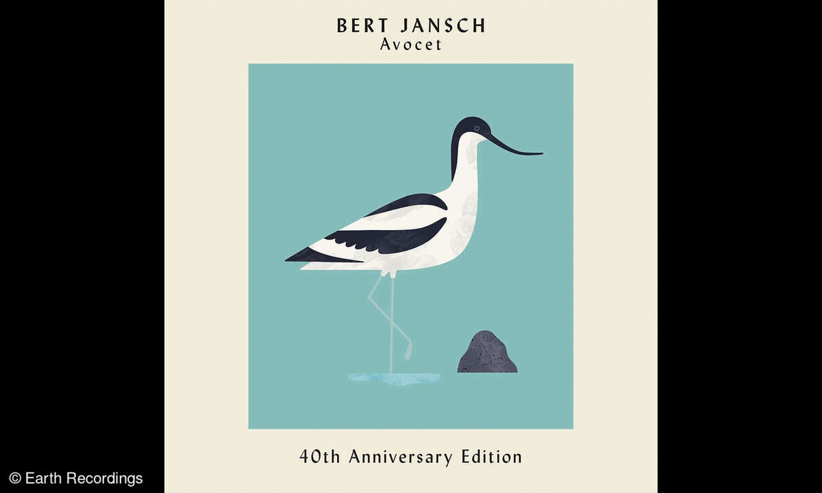 bert-jansch-avocet-40th-anniversary-edition