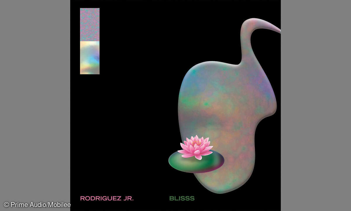 rodriguez-jr-blisss-house-electro-techno