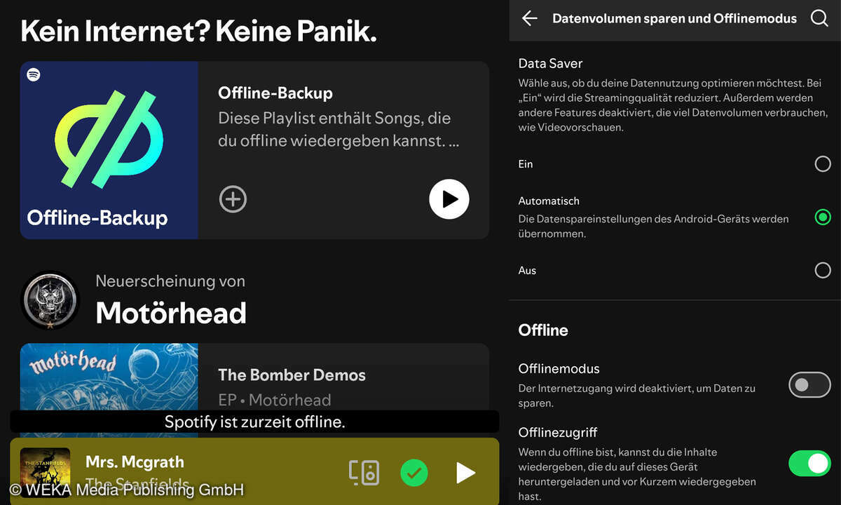 spotify-offline-backup-aktivieren-screenshot