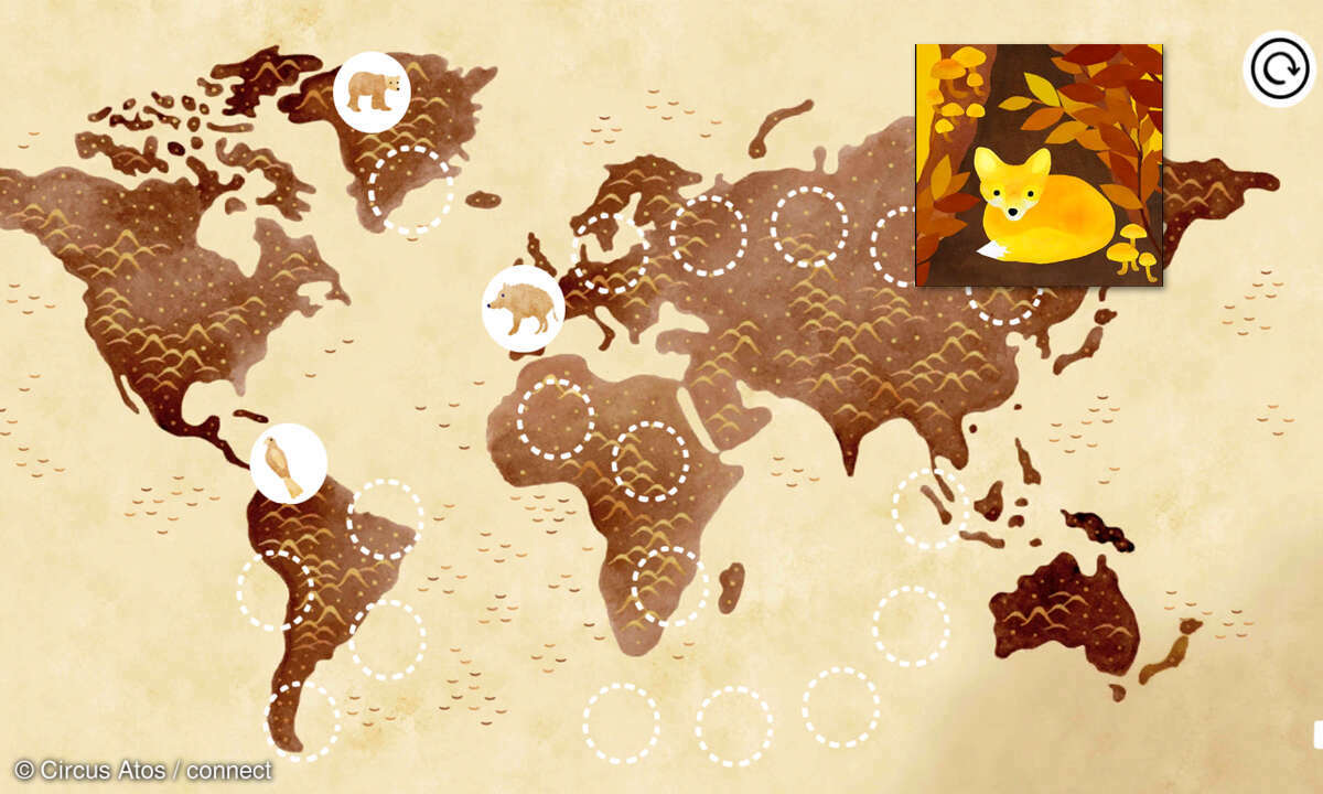 App: Under Leaves für Kinder im Check Screenshot