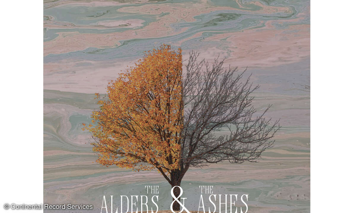 the-hello-darlins-the-alder-and-the-ashes-cd-cover