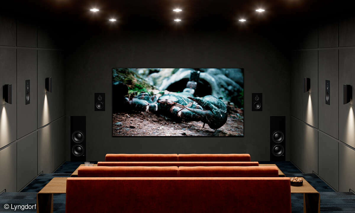 lyngdorf-dw-10-and-d-6-in-wall-speaker-woofer-