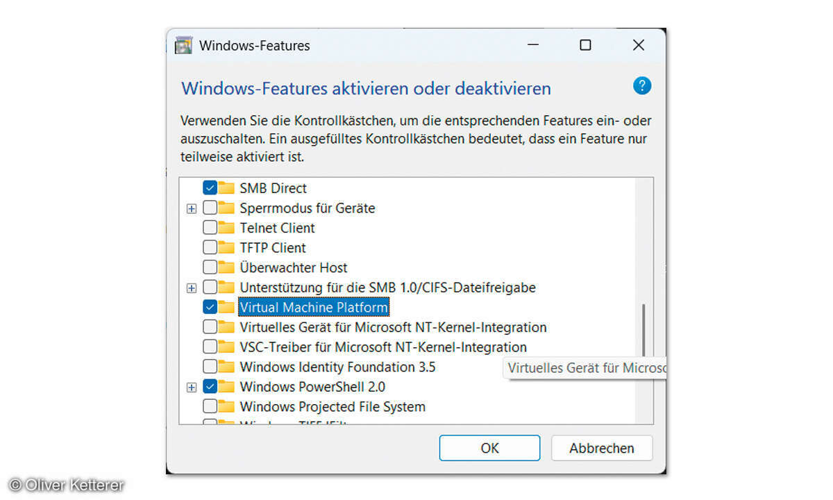 DeepSeek am PC: Screenshot 5 Windows-Features
