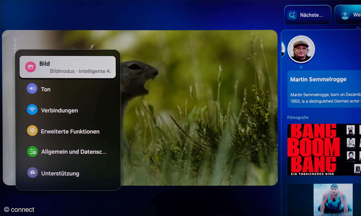 Samsung GQ75QN900F im Test: Screenshot Einstellungsmenüs