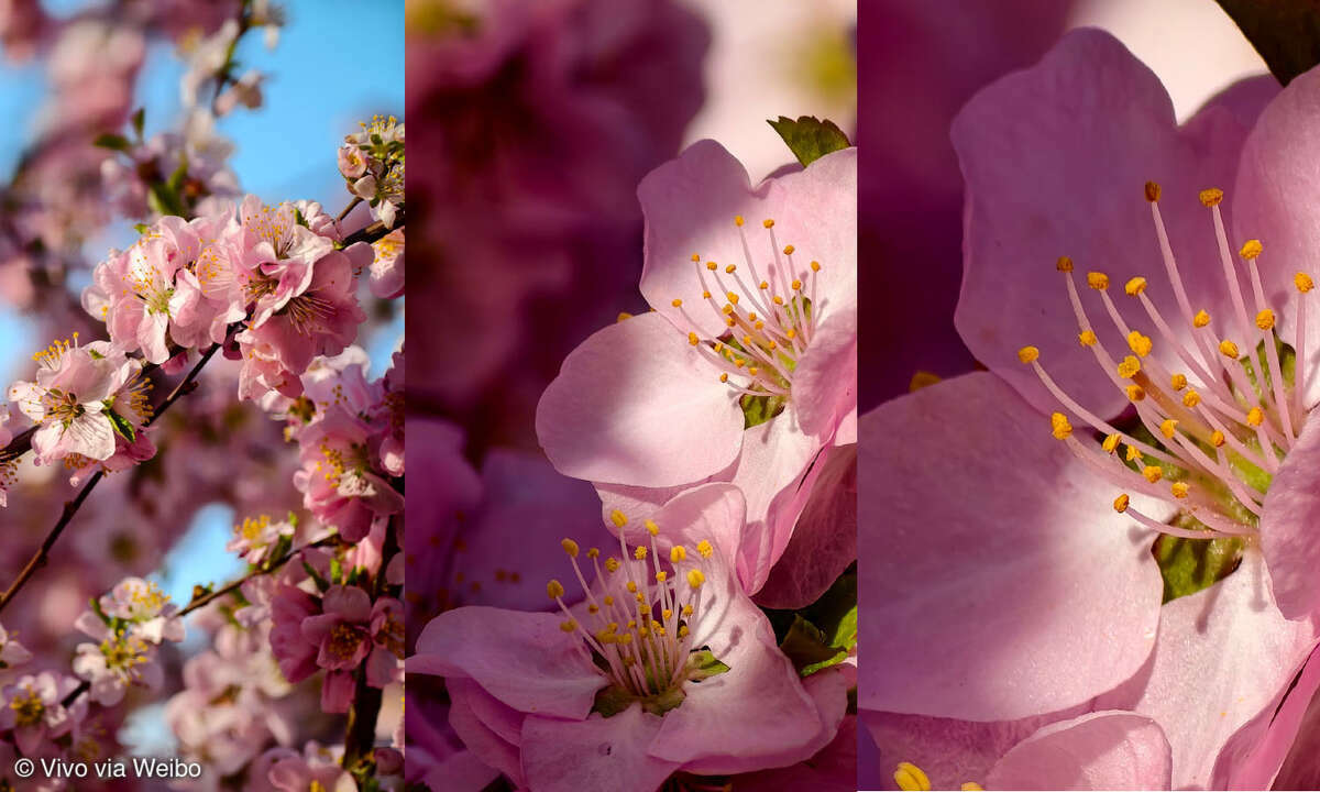 Vivo X200 Ultra Zoom Beispielbilder