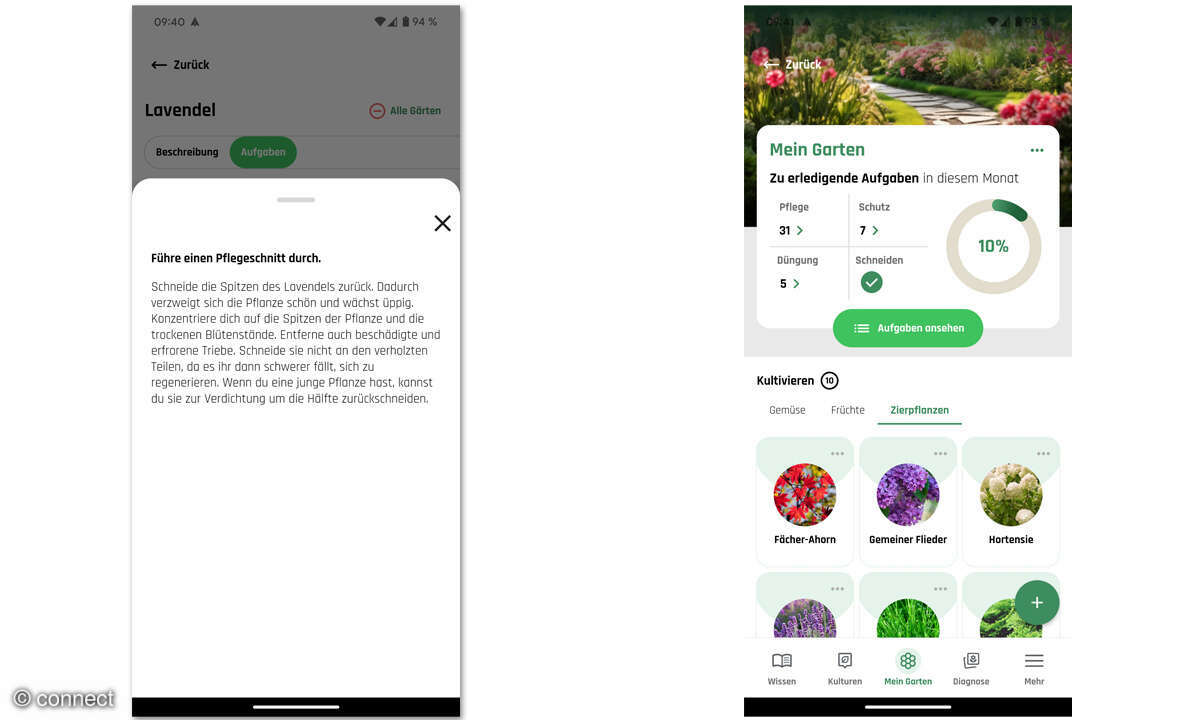Plantis-App im Check: Screenshots