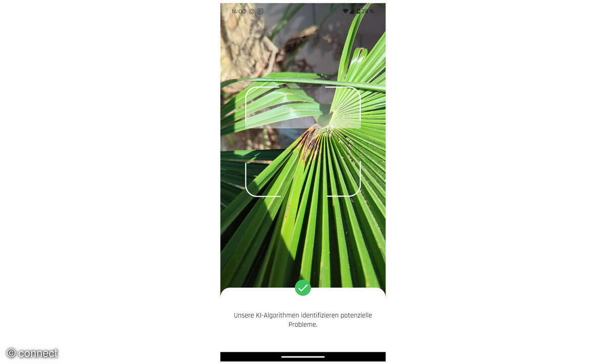 Plantis-App im Check: Screenshot KI