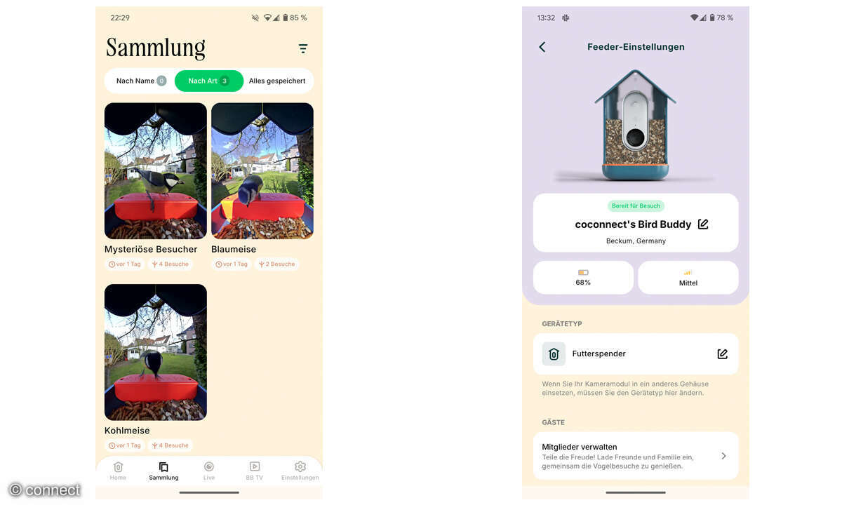 Smart Bird Feeder Pro von Bird Buddy im Check: Screenshots App
