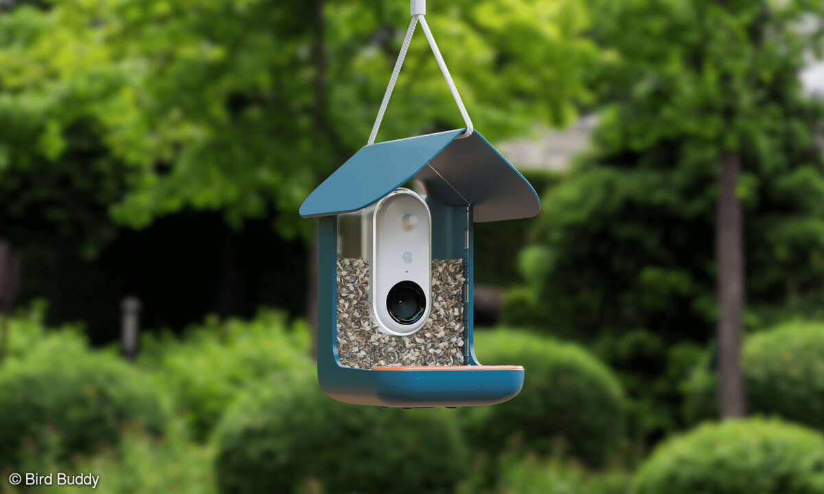 Smart Bird Feeder Pro von Bird Buddy im Check