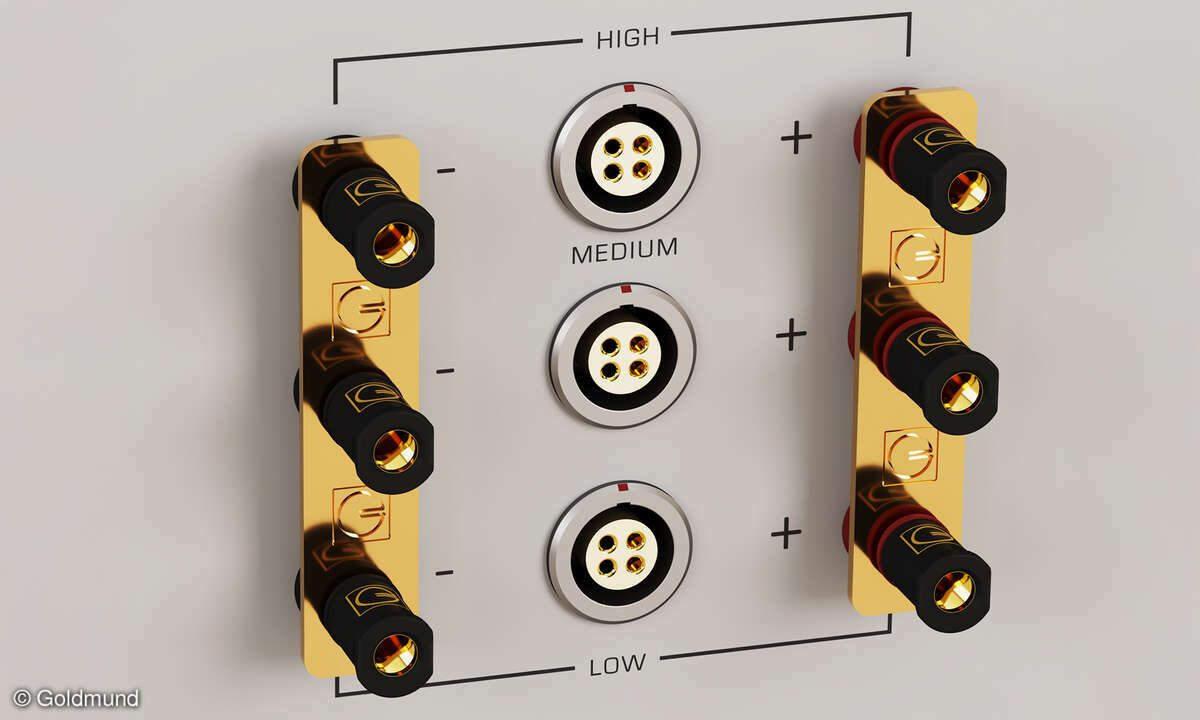 goldmund-theia-passive-gray-binding-post