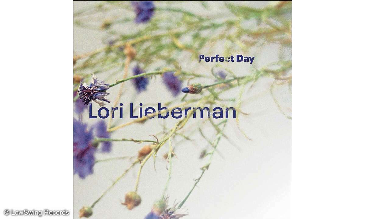 lori-lieberman-perfect-day-cover
