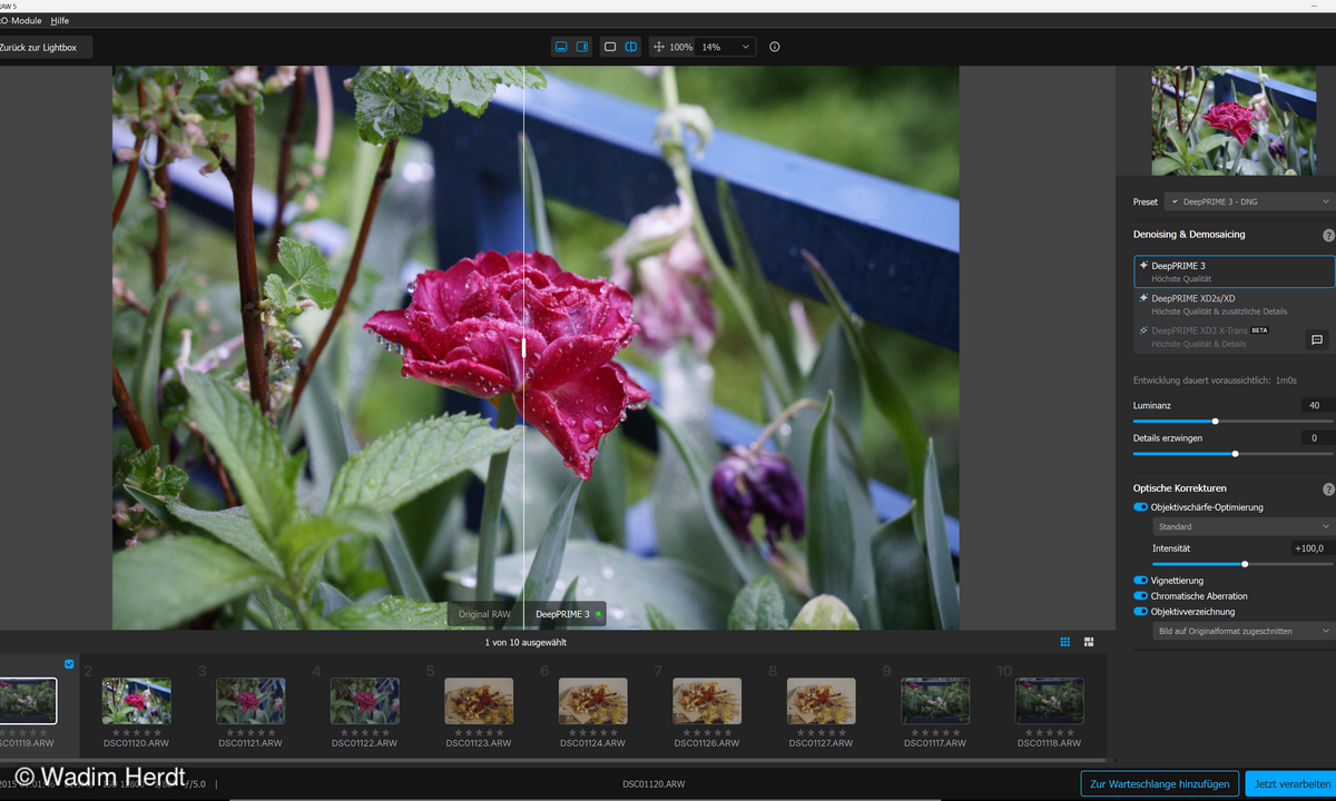DxO PureRAW5