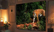 Neue Fernseher