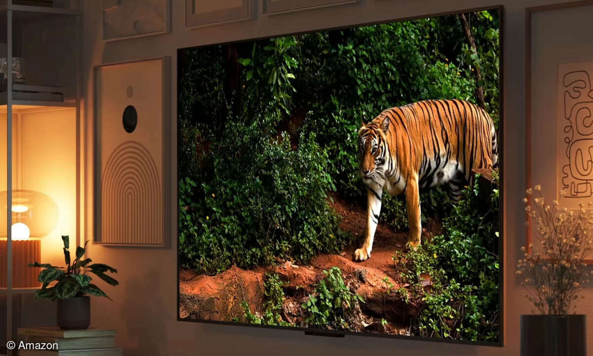Amazon Fire TV Omni Mini LED Fernseher