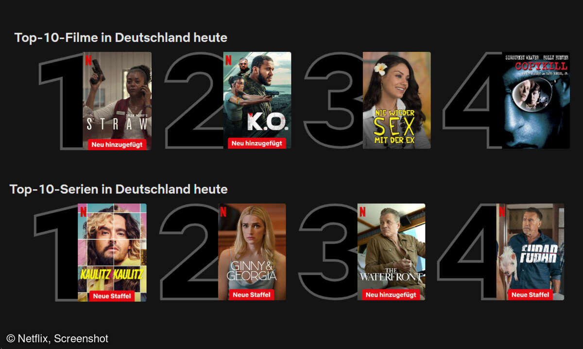 Netflix Top 10 vom 20-06-2025