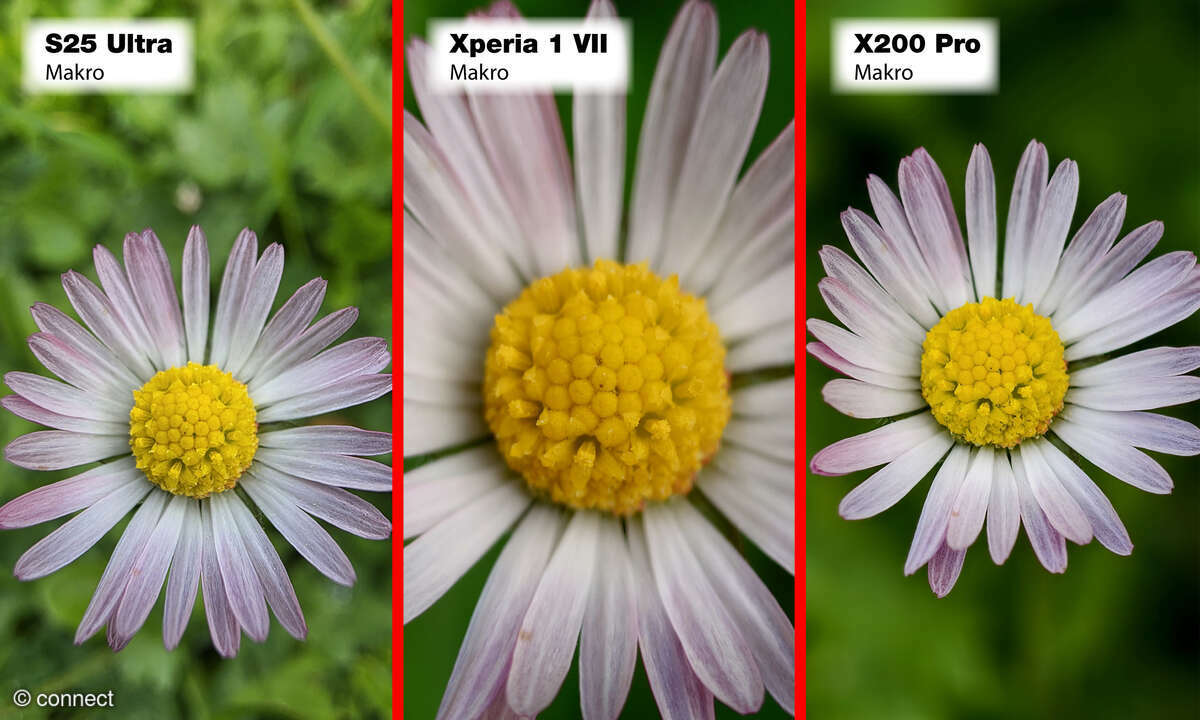 xperia-1-vii-bildvergleich-makro