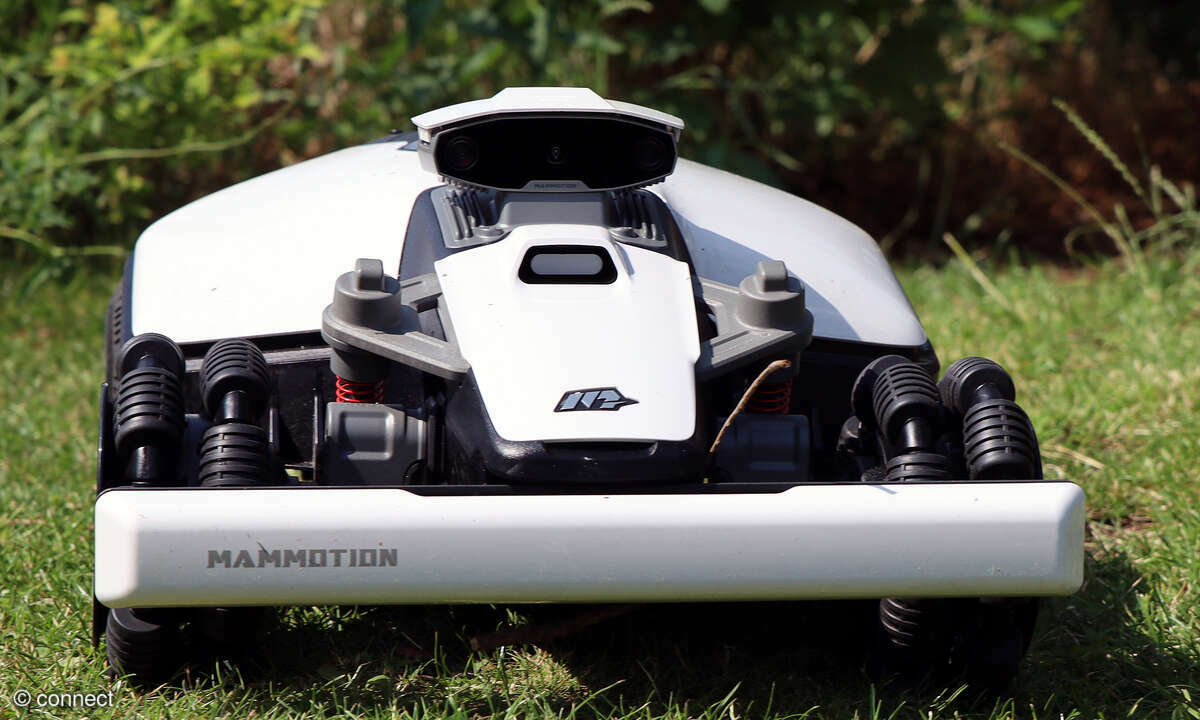 Mammotion Luba Mini Test Teaser