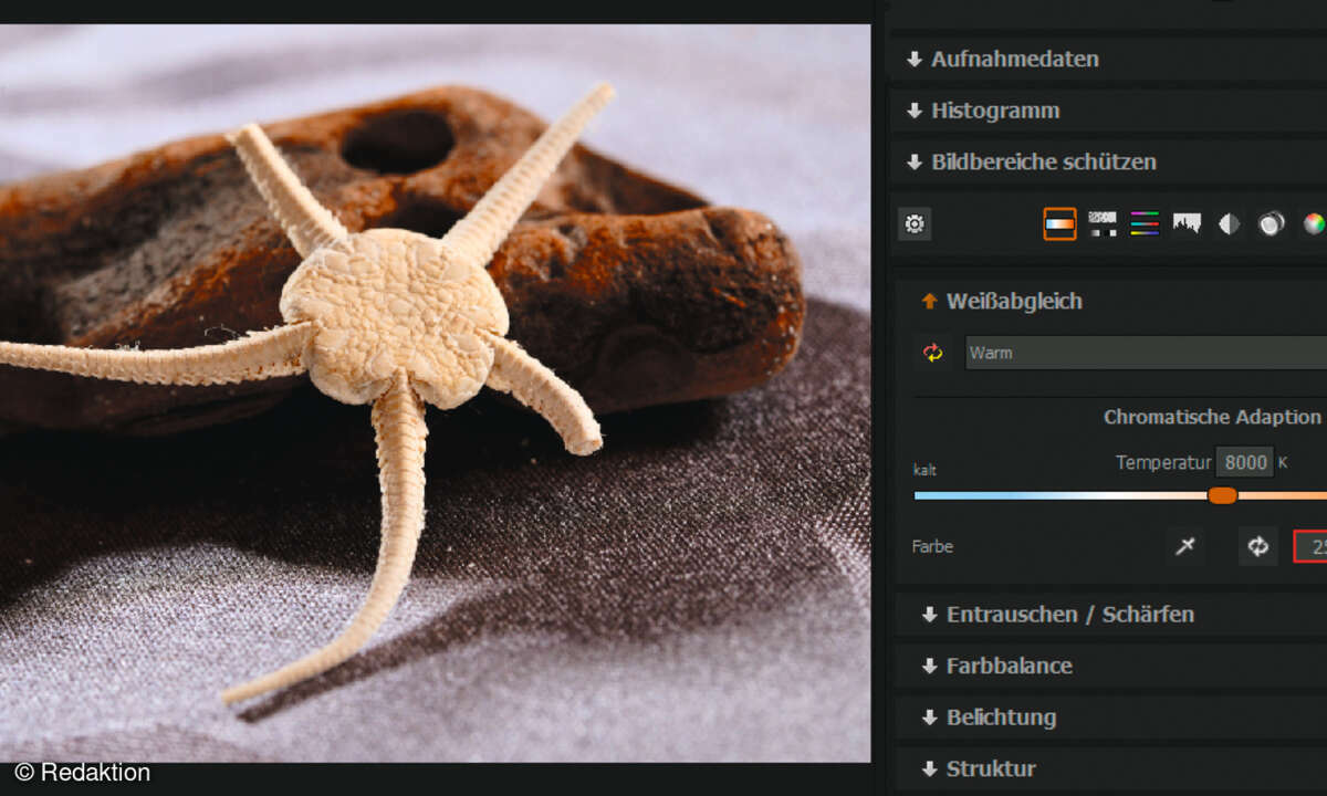 franzis-focus-projects-6-professional-raw-entwicklung