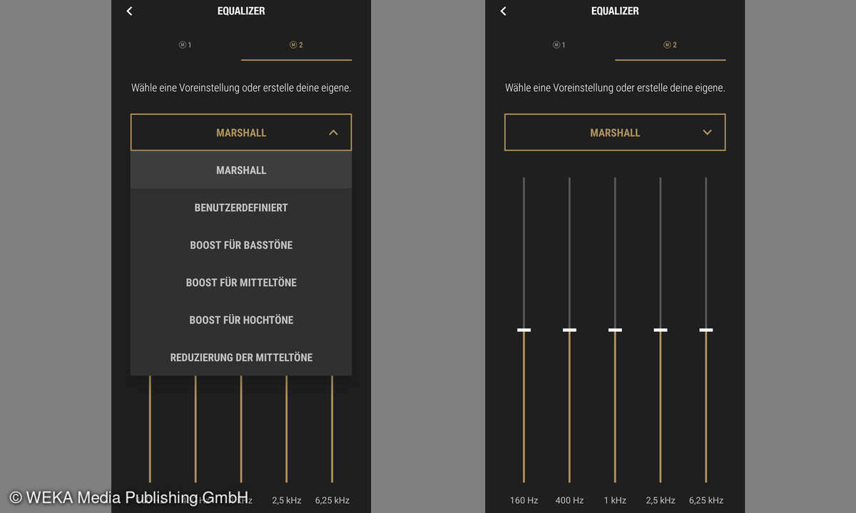marshall-bluetooth-app-equalizer