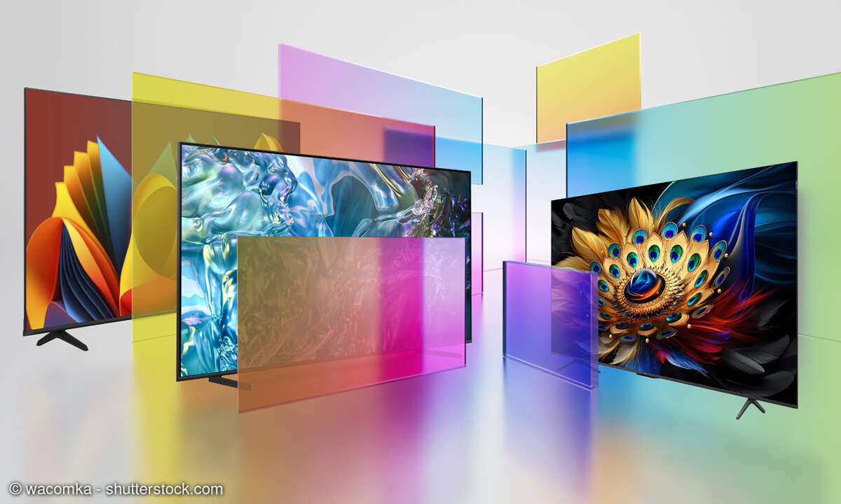 Hisense, Samsung & TCL: Vergleichstest 65-Zoll-TVs
