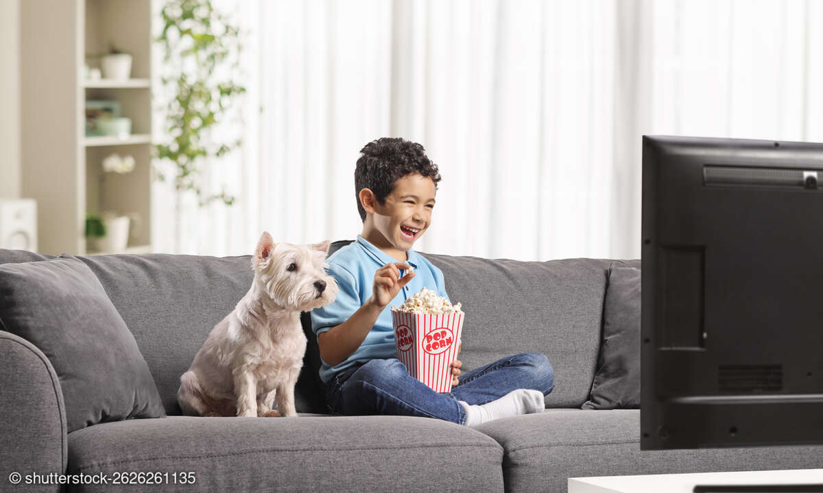 shutterstock-2626261135