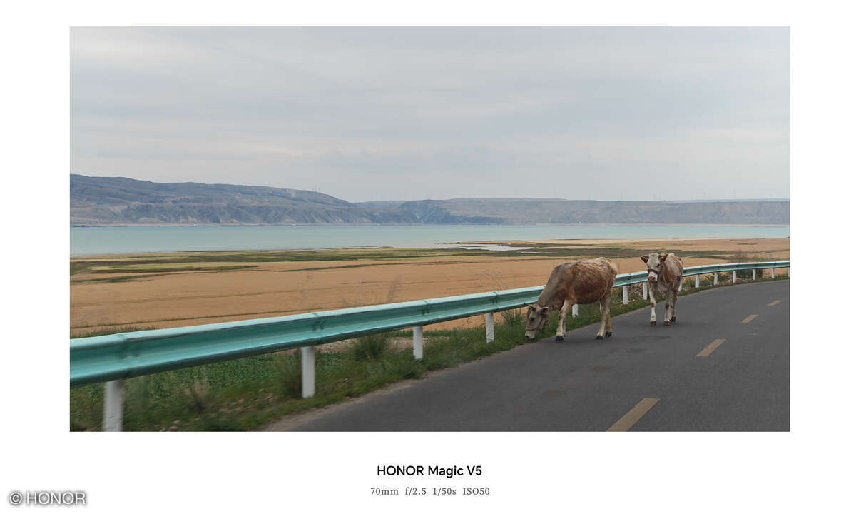 Honor Magic V5