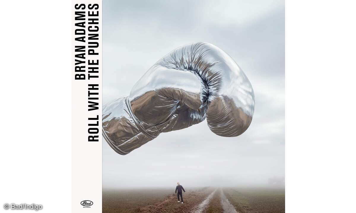 bryan-adams-roll-with-the-punches-cd-cover
